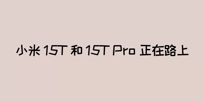 小米 15T 和 15T Pro 正在路上