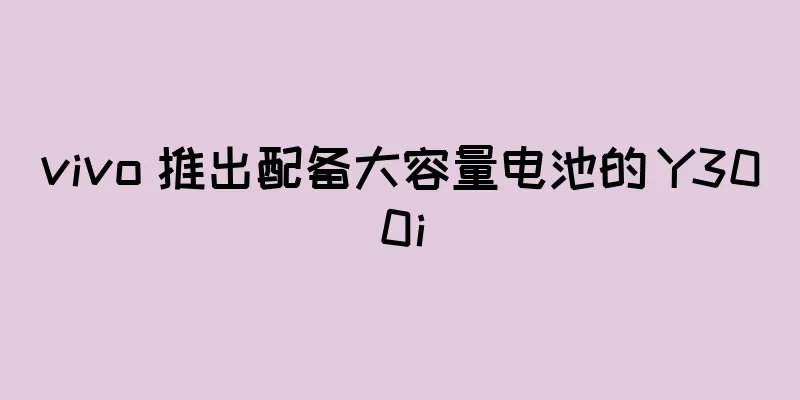 vivo 推出配备大容量电池的 Y300i