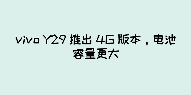 vivo Y29 推出 4G 版本，电池容量更大