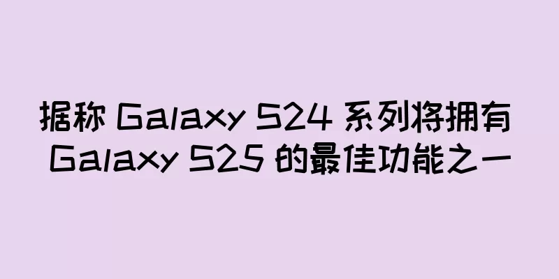 据称 Galaxy S24 系列将拥有 Galaxy S25 的最佳功能之一