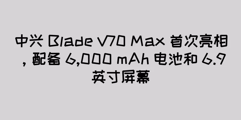 中兴 Blade V70 Max 首次亮相，配备 6,000 mAh 电池和 6.9 英寸屏幕