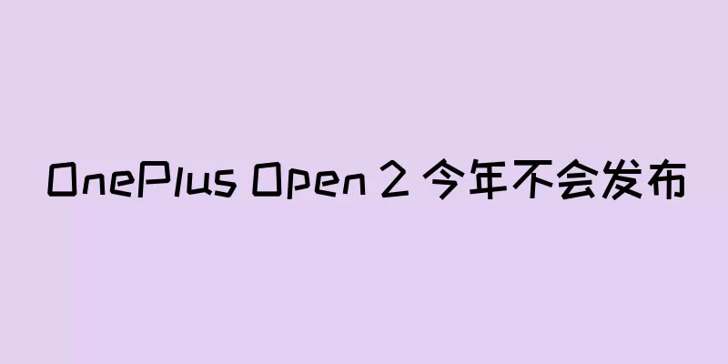 OnePlus Open 2 今年不会发布