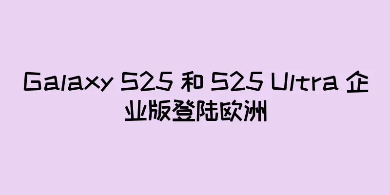 Galaxy S25 和 S25 Ultra 企业版登陆欧洲