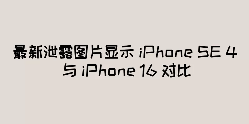最新泄露图片显示 iPhone SE 4 与 iPhone 16 对比