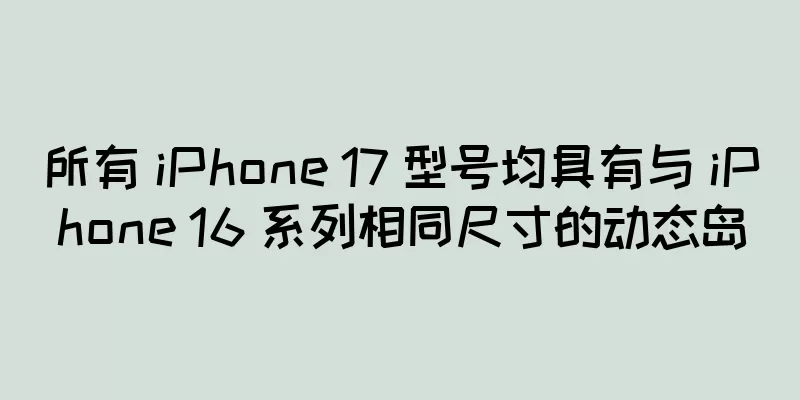 所有 iPhone 17 型号均具有与 iPhone 16 系列相同尺寸的动态岛