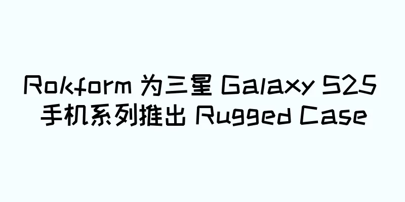 Rokform 为三星 Galaxy S25 手机系列推出 Rugged Case