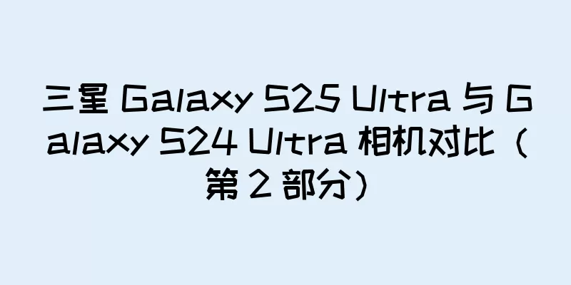 三星 Galaxy S25 Ultra 与 Galaxy S24 Ultra 相机对比（第 2 部分）