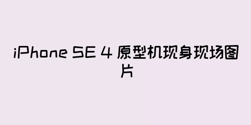 iPhone SE 4 原型机现身现场图片