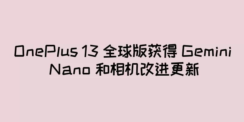 OnePlus 13 全球版获得 Gemini Nano 和相机改进更新
