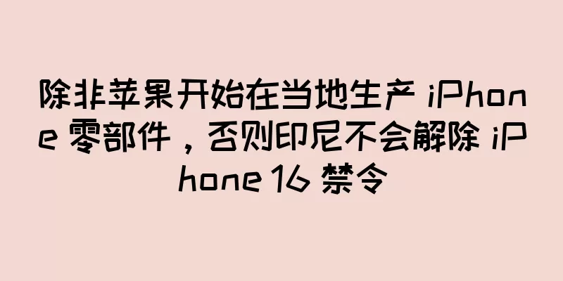 除非苹果开始在当地生产 iPhone 零部件，否则印尼不会解除 iPhone 16 禁令